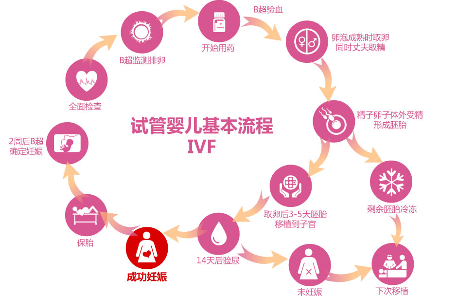   试管婴儿技术是一种辅助生殖技术 (Assisted Reproductive Technology, ART)，通常需要经过以下步骤：