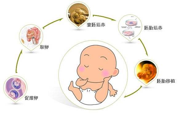 试管婴儿技术是一种辅助生殖技术，适用于因各种原因无法自然怀孕的夫妇。嘉兴试管婴儿的具体流程如下：